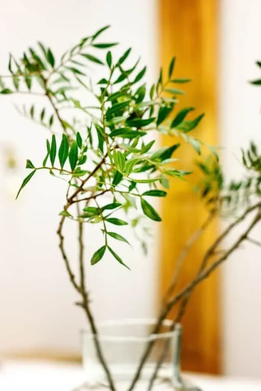Jardines Boutique - photo 17