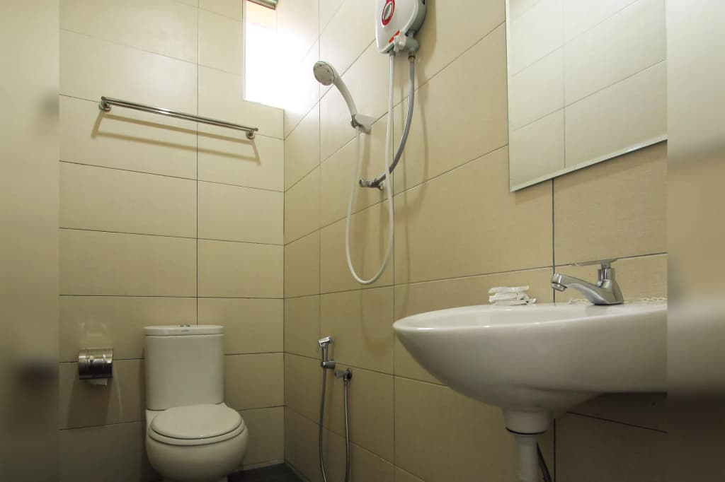 Max Inn Suite Hotel - photo 8