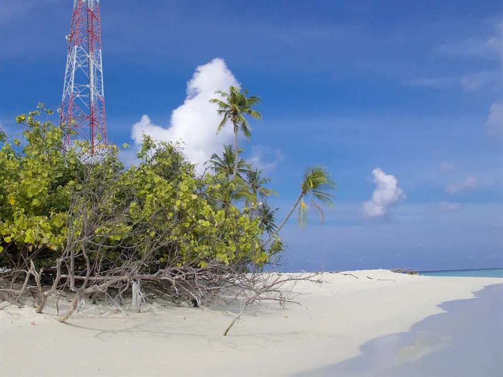 Thundi Sea View - photo 29