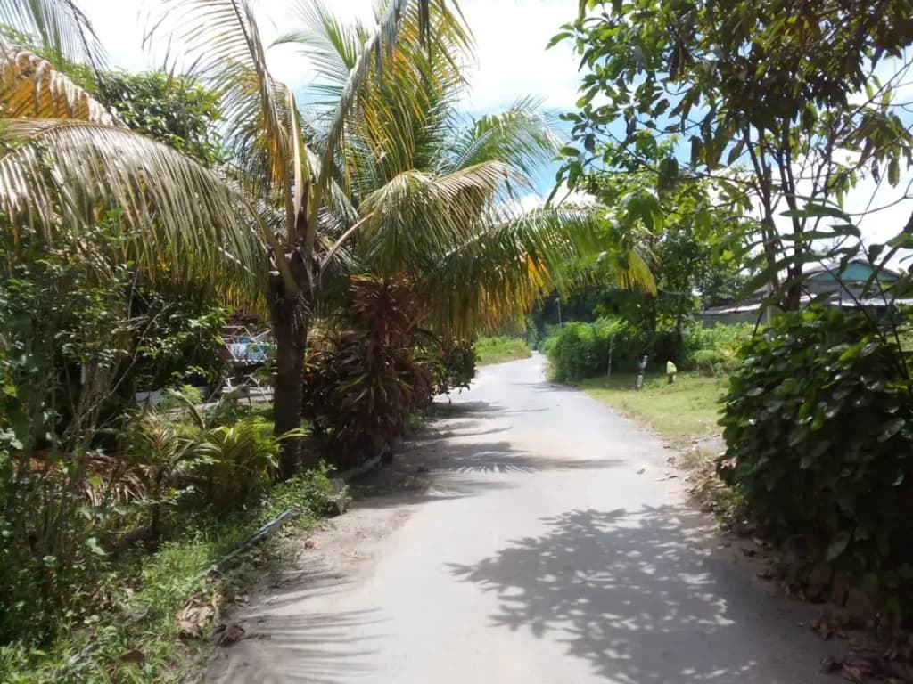 Pandan Beach Homestay - photo 12