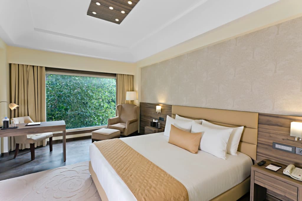 Udman Hotels and Resorts BY FERNS N PETALS - photo 3