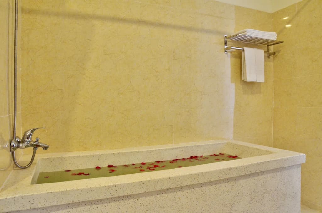 Boulevard Hotel - photo 8