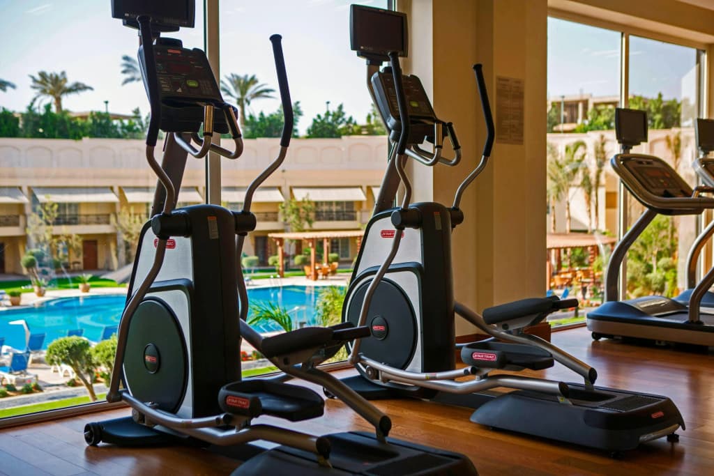 Renaissance Cairo Mirage City Hotel - photo 35