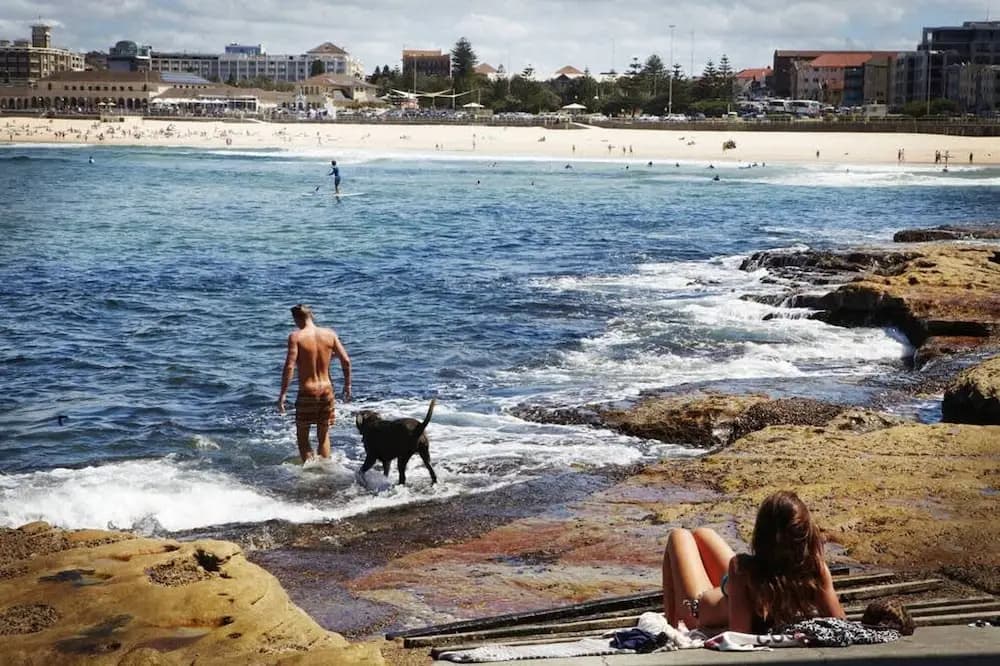 Bondi Breeze Apartment - photo 13