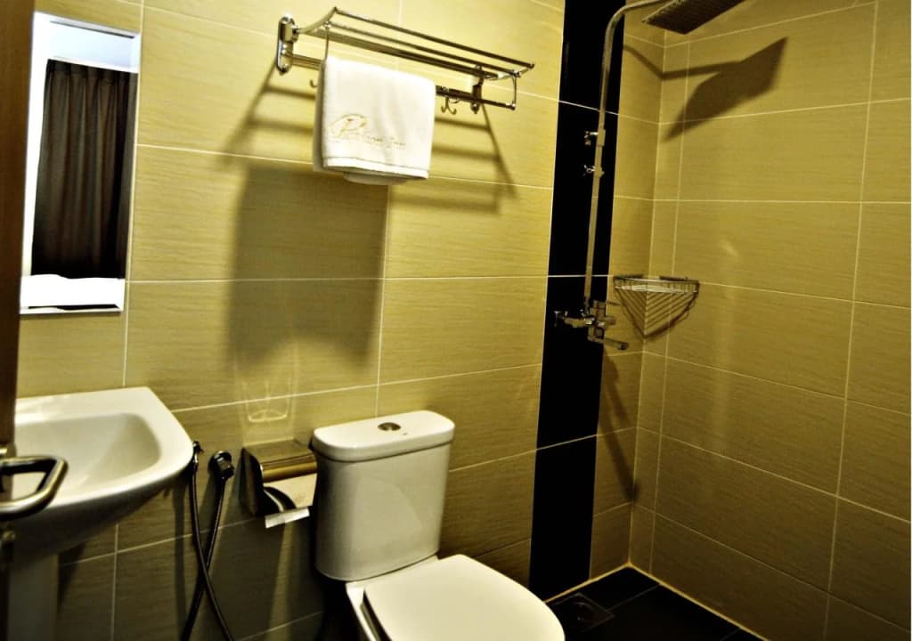 Pavilion Inn - photo 7