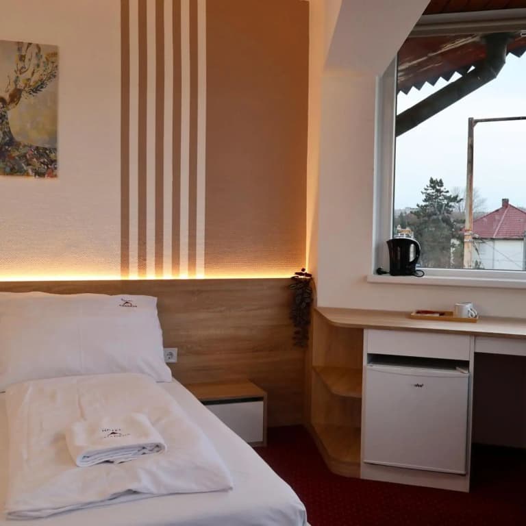 Amadeus Hotel - photo 40