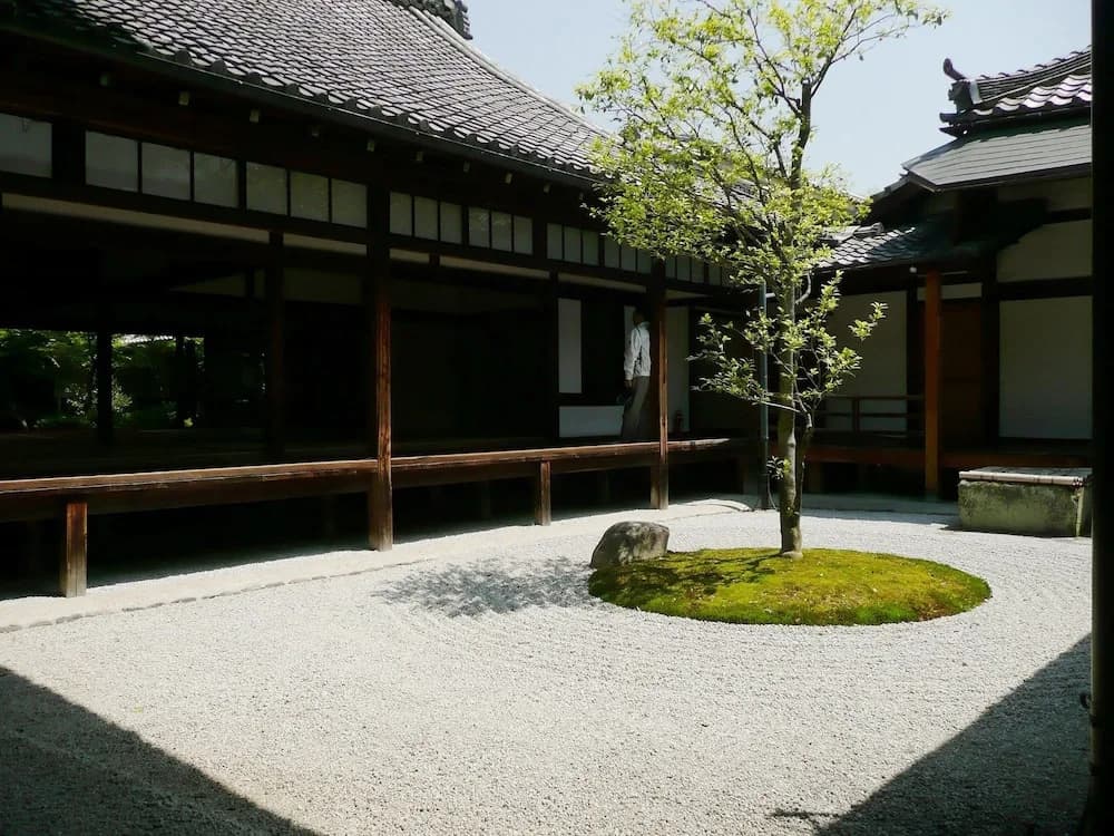 Kyoto Sawai - photo 18