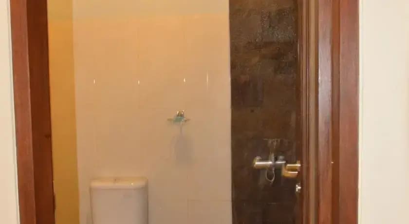 Shreya Guest House - photo 2