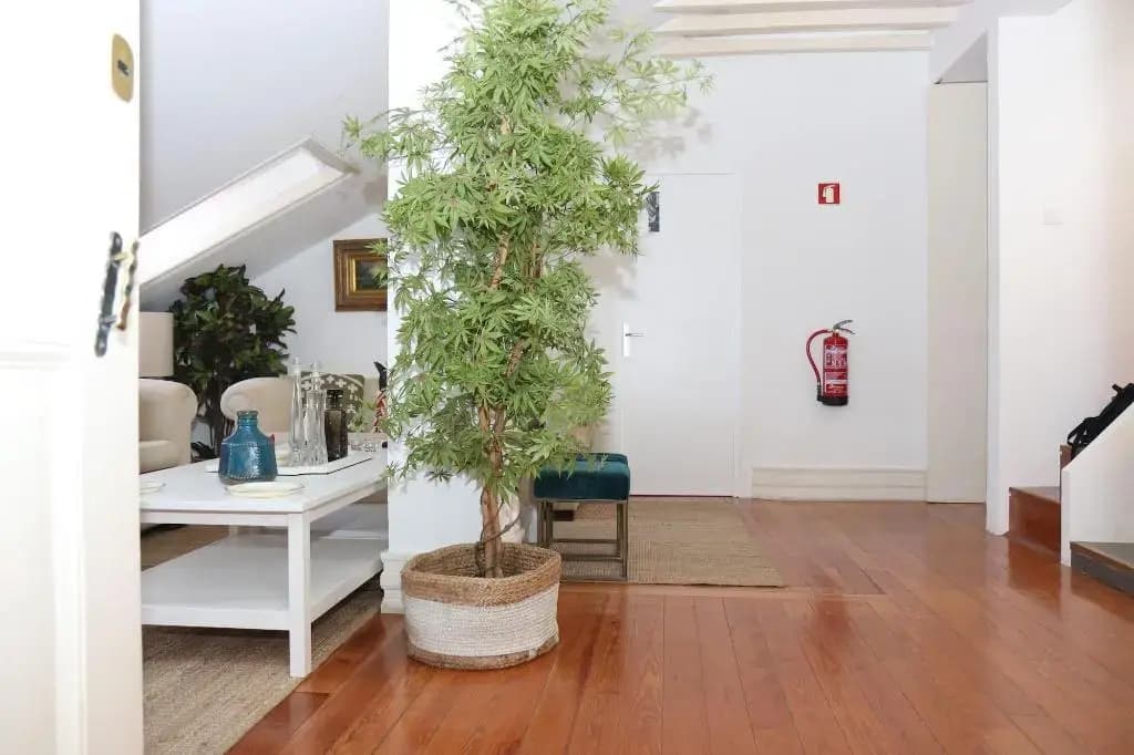 Botanic Views Guest House - photo 15