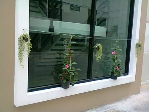 Ai Place - photo 13