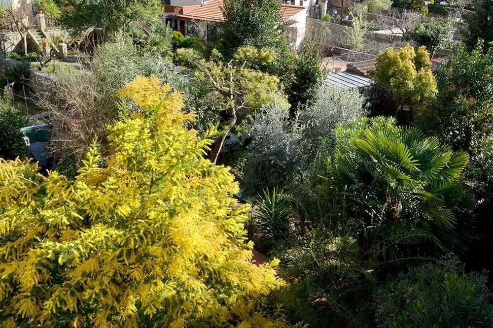 Villa nei fiori - photo 14