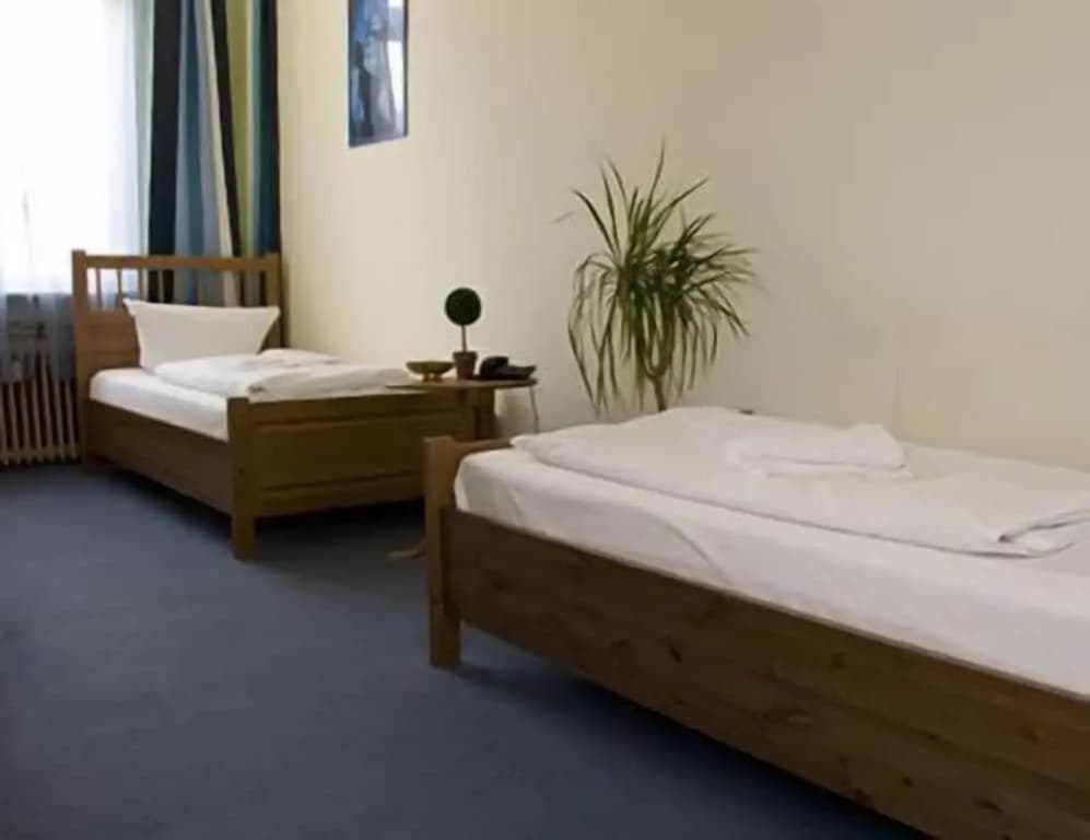 Hotel Pension Rheingold - photo 3