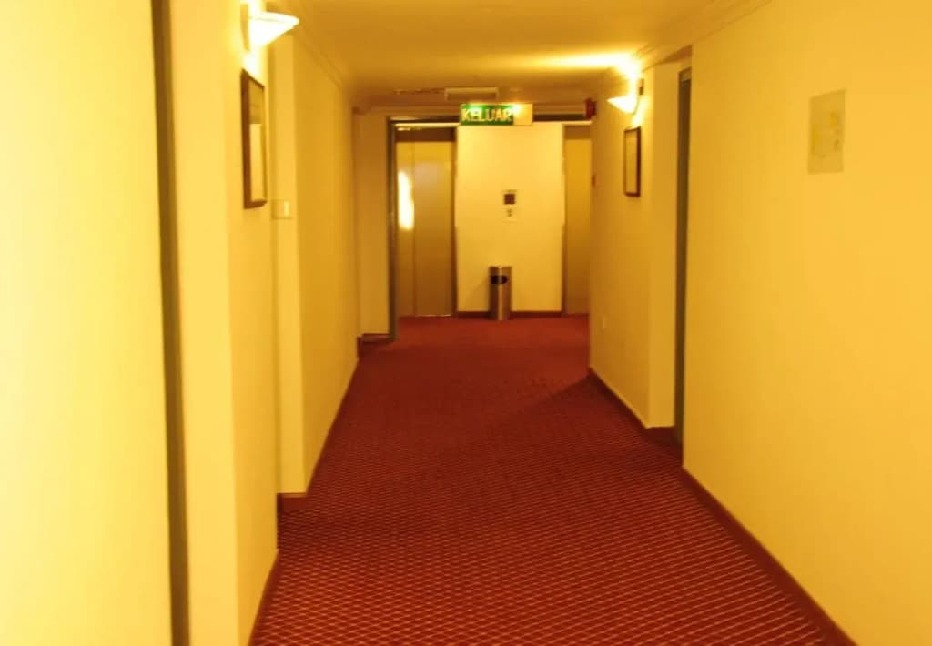Pelican Hotel - photo 11