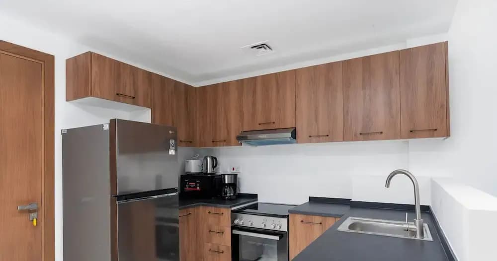Deluxe 1 BR in Oasis - 43 - photo 14