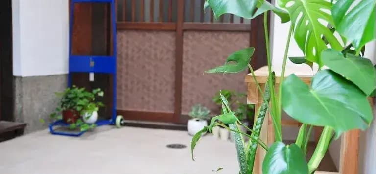 Higashiyama House - photo 7