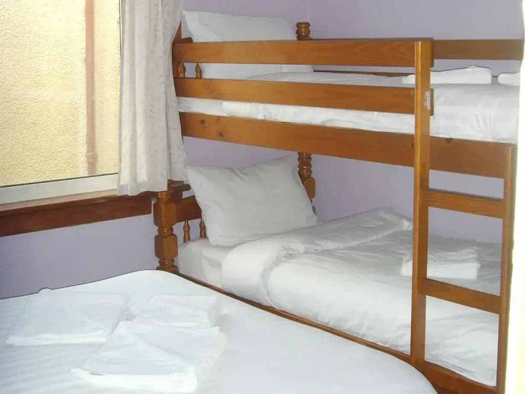Twin Lions Hotel - photo 29
