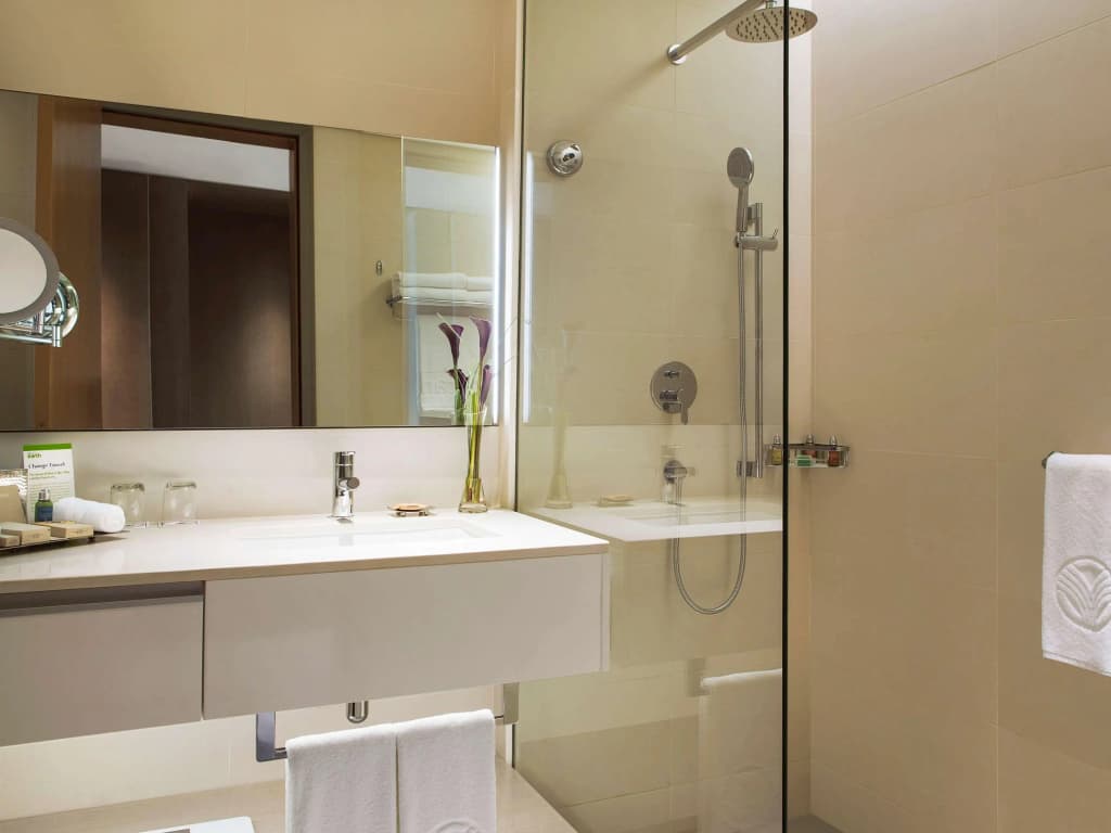 Novotel Muscat Airport Hotel - photo 20