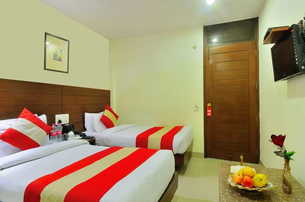 Hotel The Raj, New Delhi - photo 4
