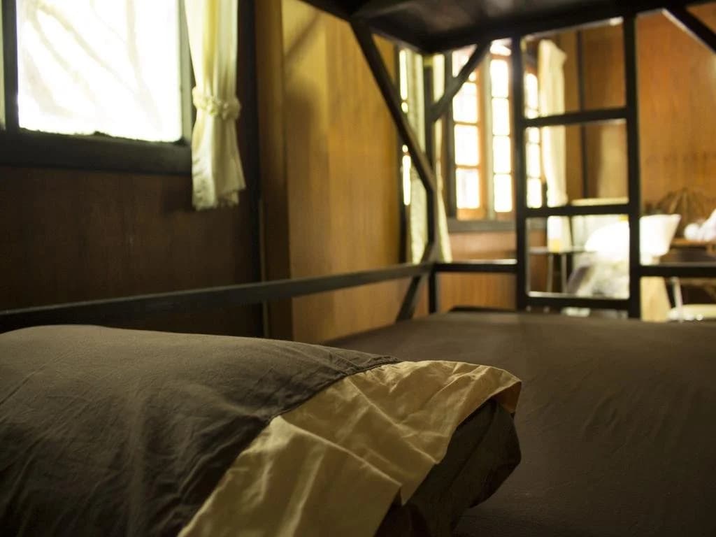 Jungle Gym & Eco Lodge - Hostel - photo 4