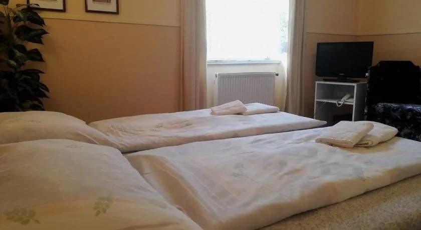 Hotel Wertheim - photo 5