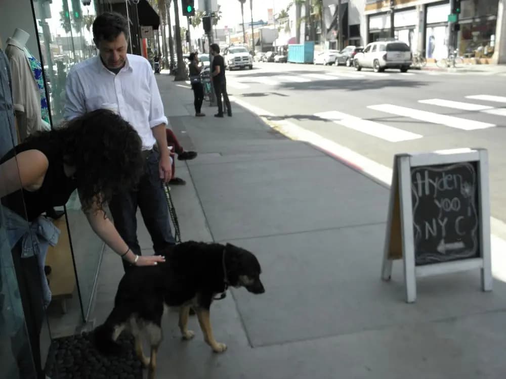 Boutique Abbot Kinney - photo 14