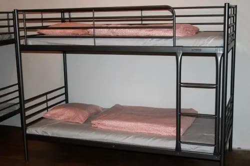 Black Dog Hostel - photo 6