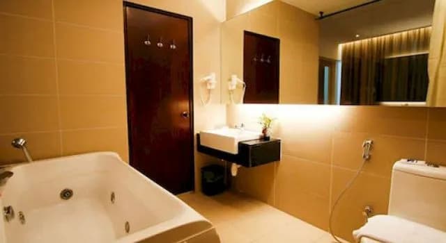 D Hotel Seri Iskandar - photo 10