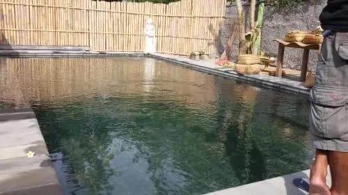 Suka's House Bed & Breakfast - photo 3