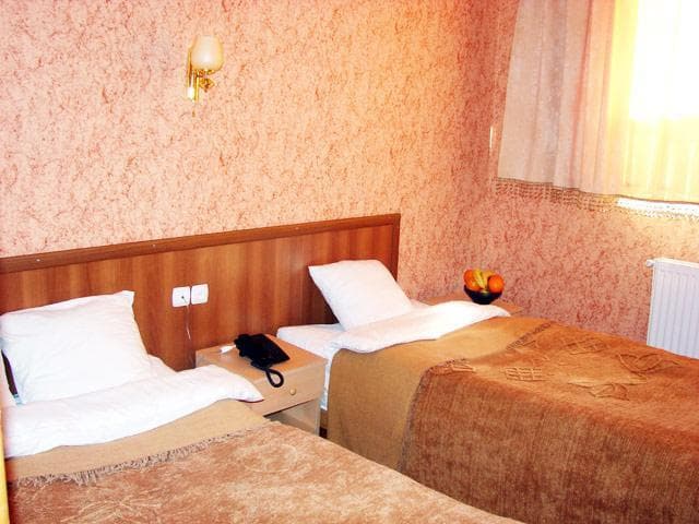 Hotel Skip - photo 6