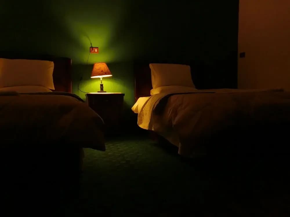 New Hotel - photo 3