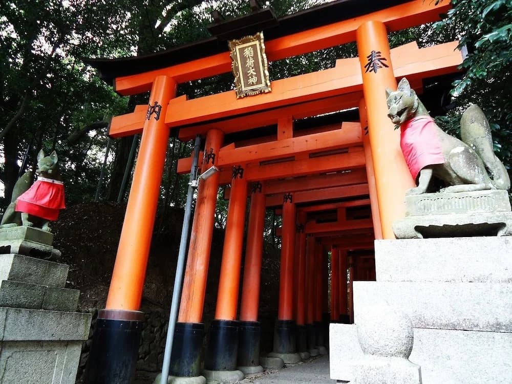 RESI STAY Kiyomizu - photo 20
