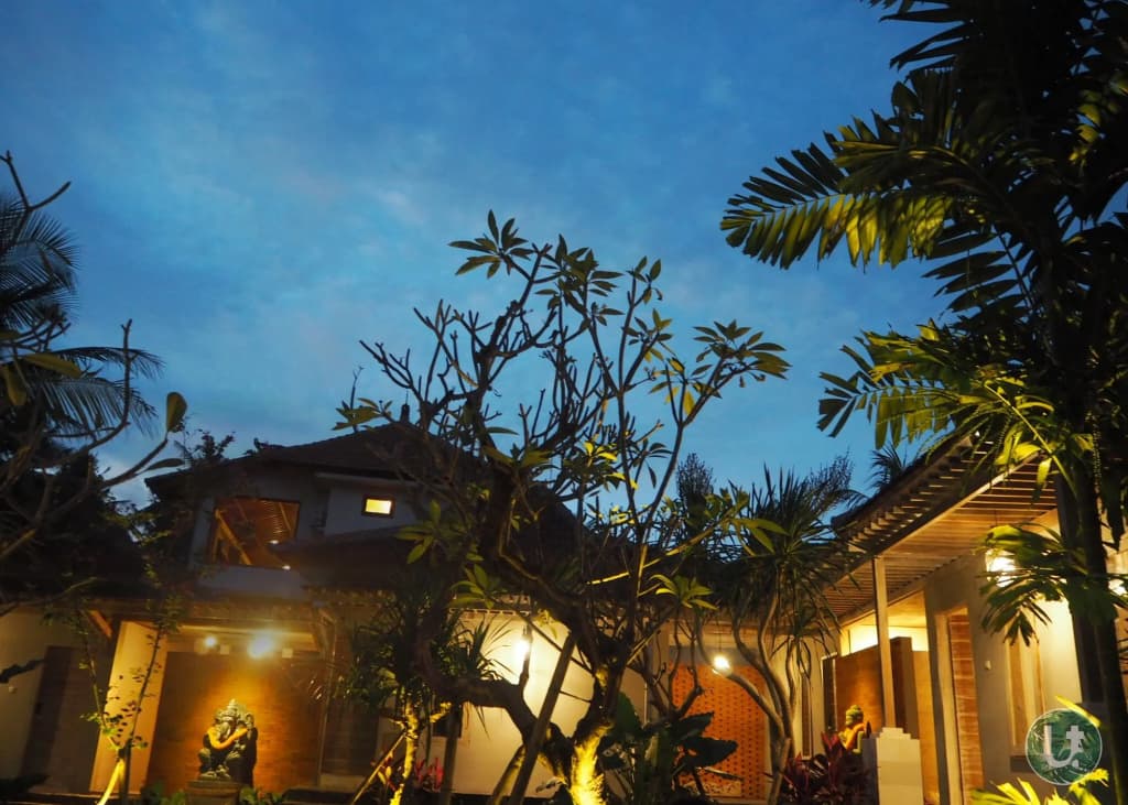 Ubud Tropical - Hostel - main photo