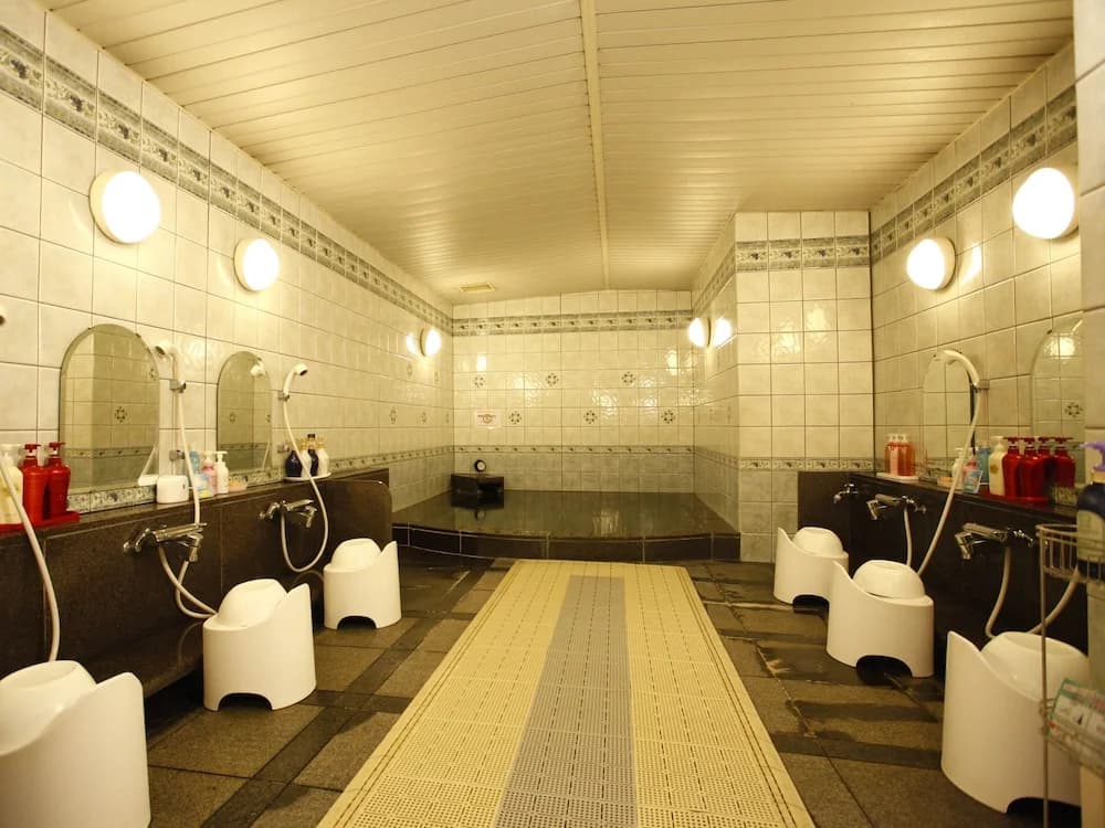 New Central Hotel - photo 8