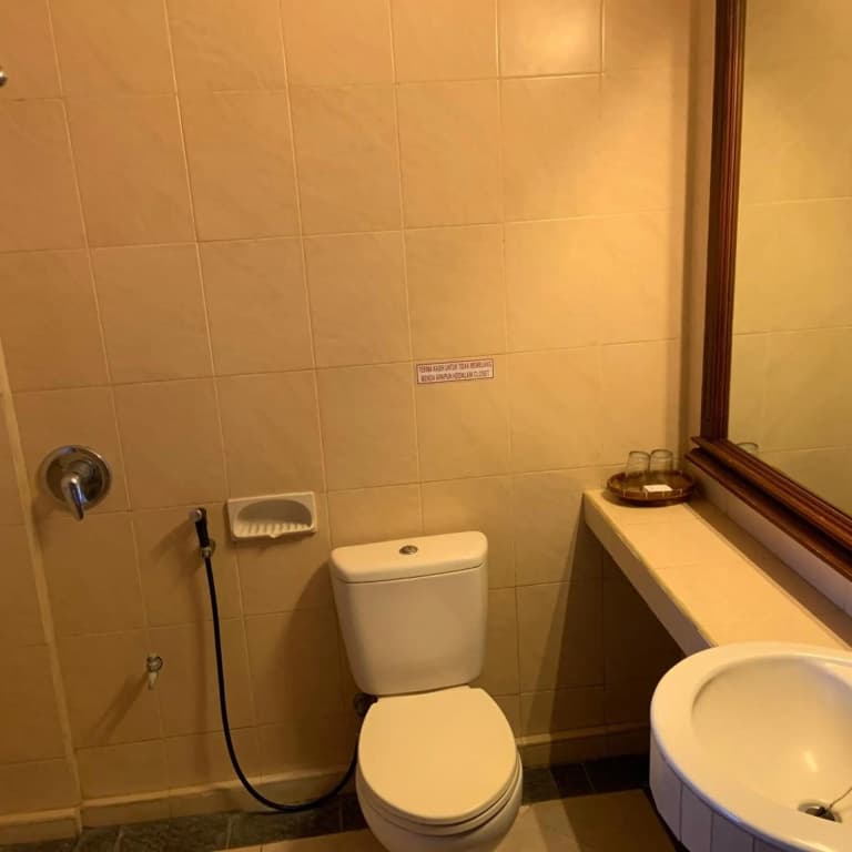Nirwana Hotel Suites - photo 29