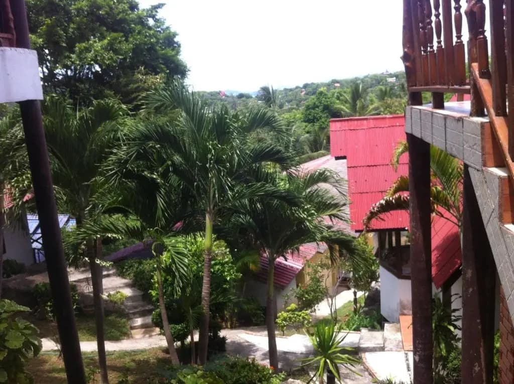 Venus Resort - photo 13