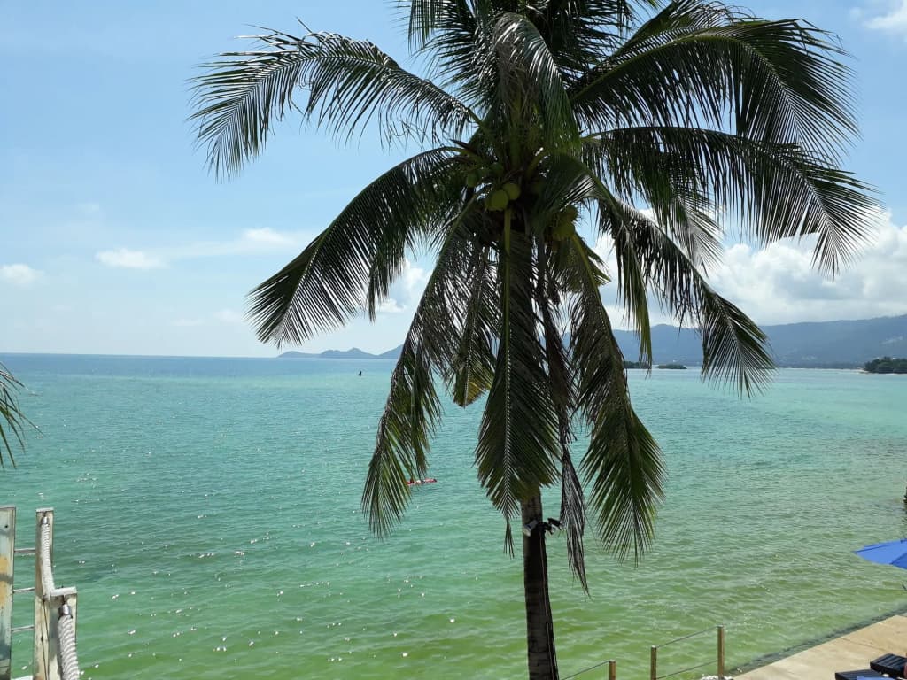 Papillon Resort - photo 29