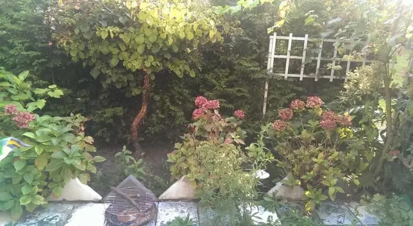 Roses Garden - photo 7