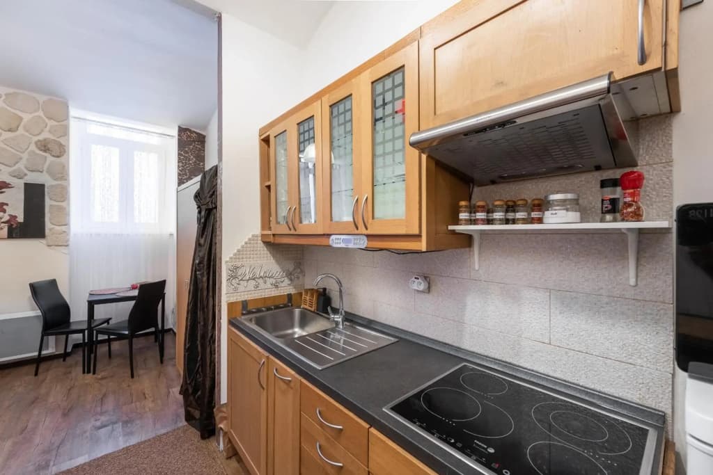Žižkov apartments - photo 15