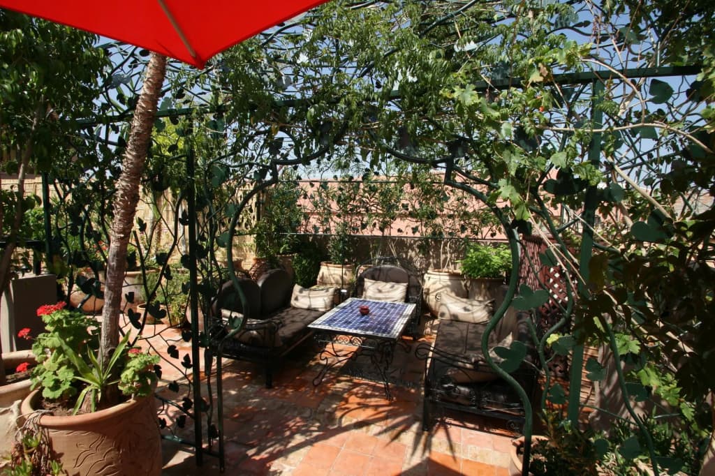 Riad Africa - photo 23