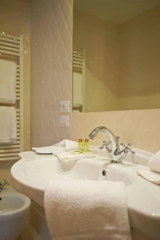 Hotel Firenze Capitale - photo 7