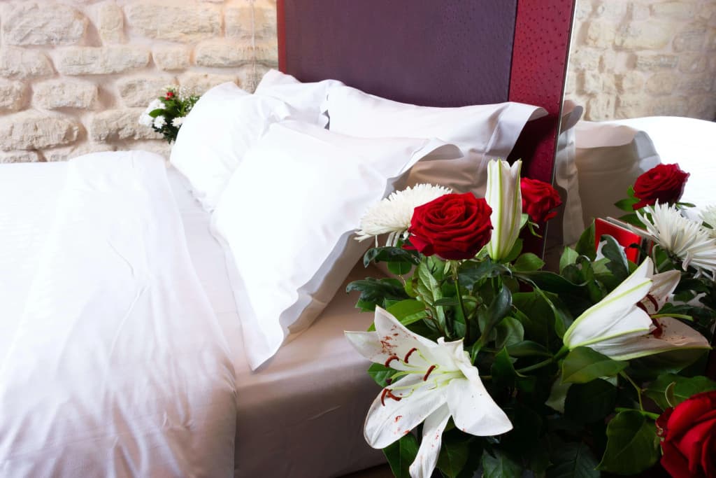 Hôtel Aubépine - photo 20
