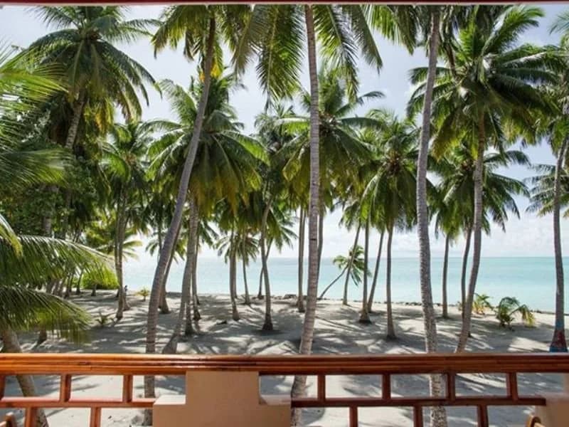 Riveli Retreat at Mathiveri Maldives - photo 16