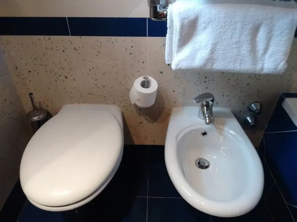 Hotel Maximus - photo 8