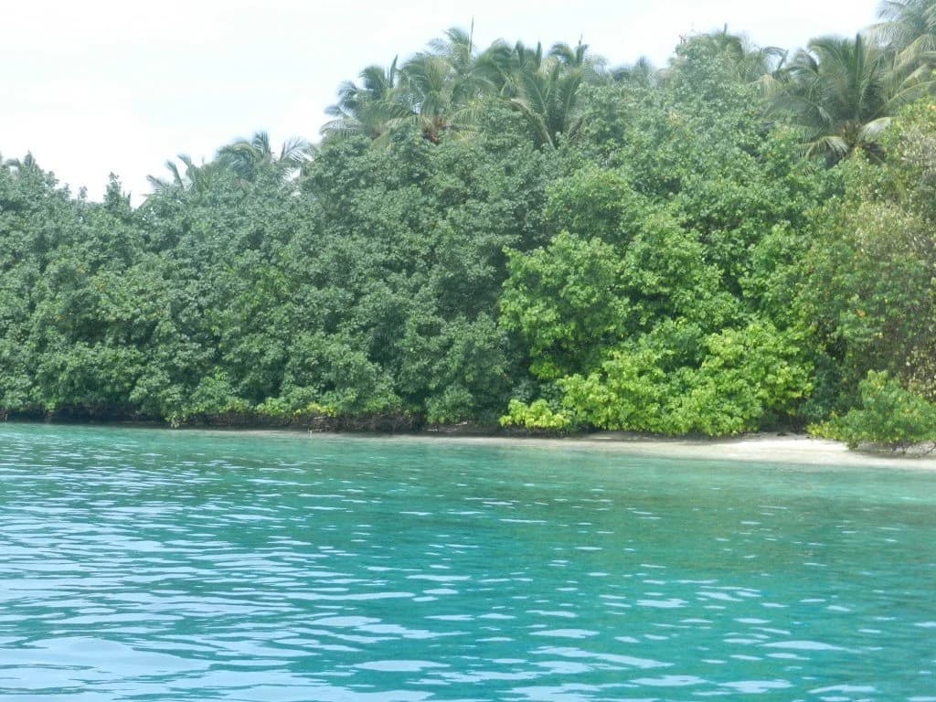 Roashanee Guest House - photo 17