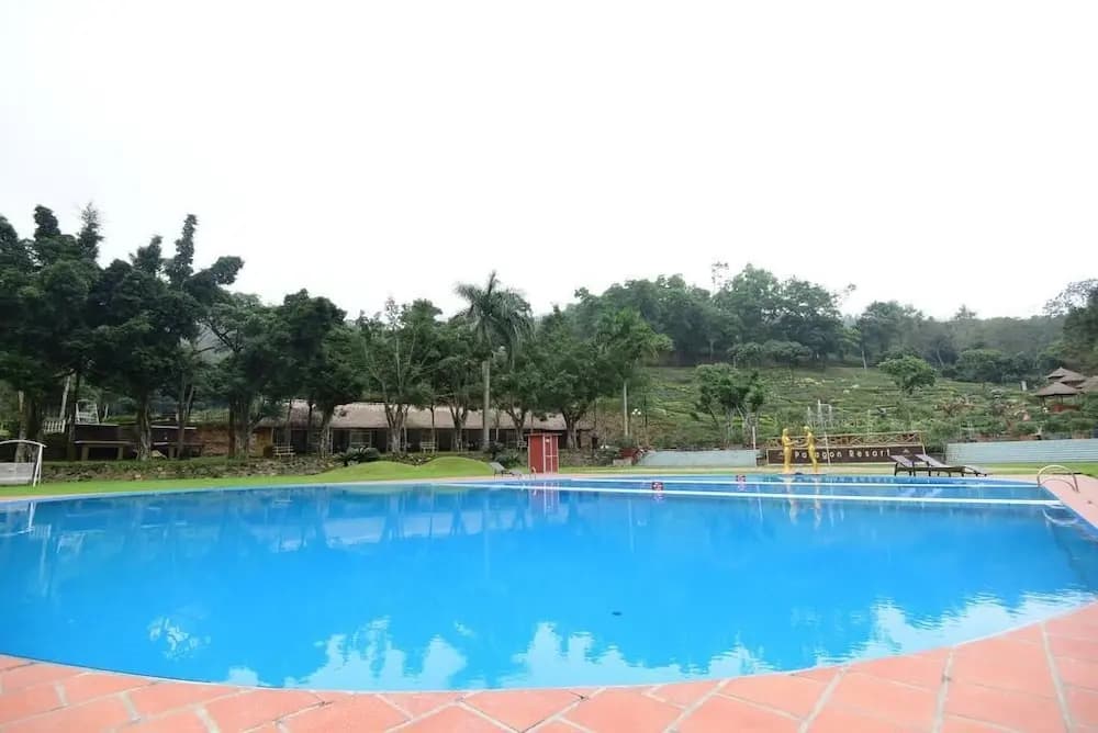 Paragon Resort - photo 13