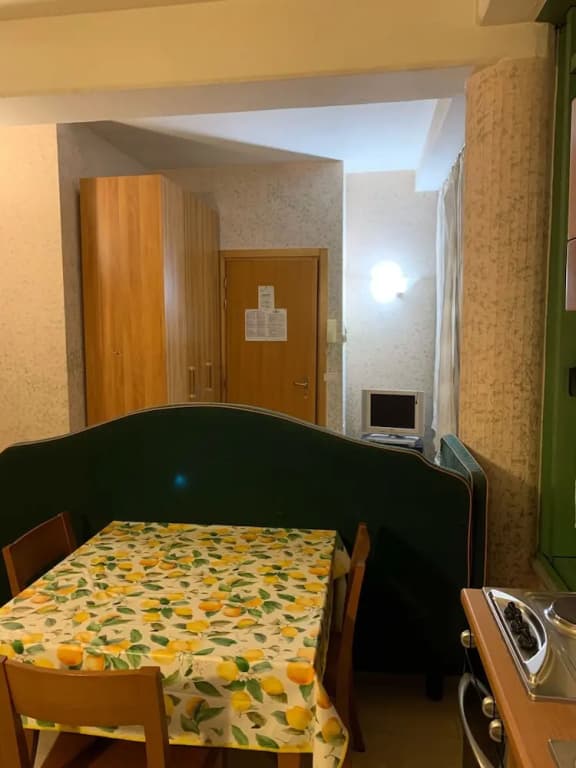 3 pax Studio, Month to Month Lease, Utility Costs Included - photo 4