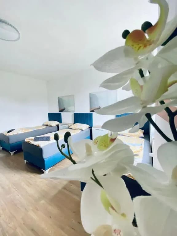 Spacious 4BR for 15 & 15 Min to Danube - photo 19