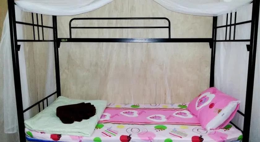 Budget Traveller Inn - photo 4