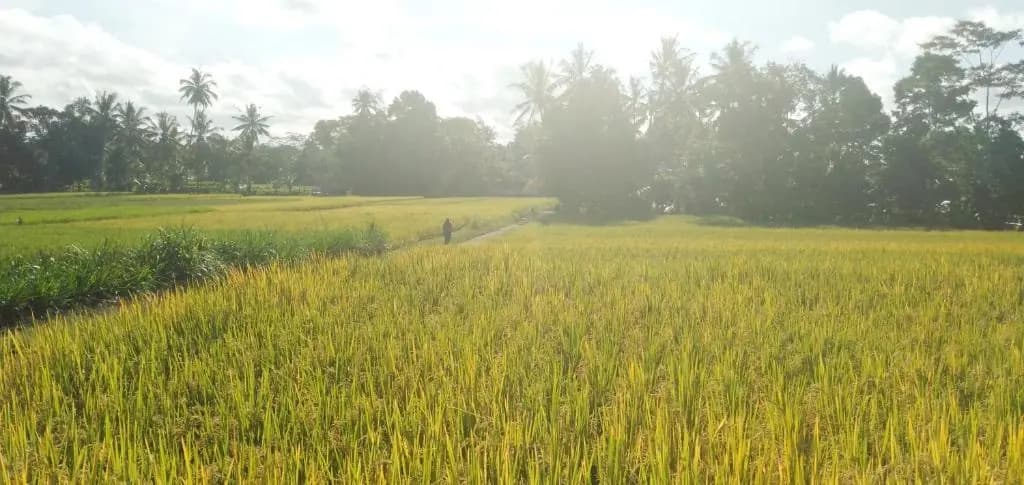 Amara Giri 1 - photo 3