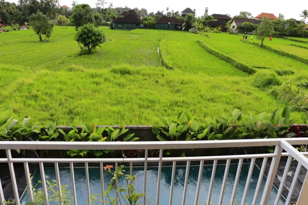 Uma Kutuh 2 - photo 33
